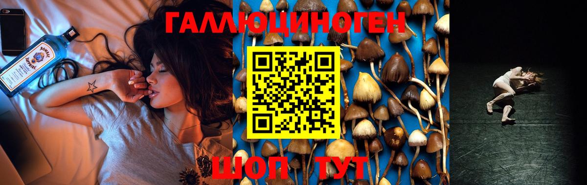 Псилоцибиновые грибы Psilocybe Стерлитамак